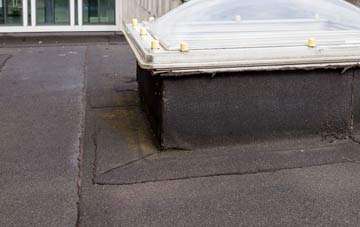 disadvantages of Baxters Green flat roofs