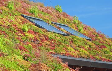 Baxters Green living roof systems